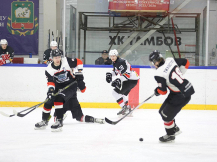     Источник: Федерация хоккея Тамбовской области