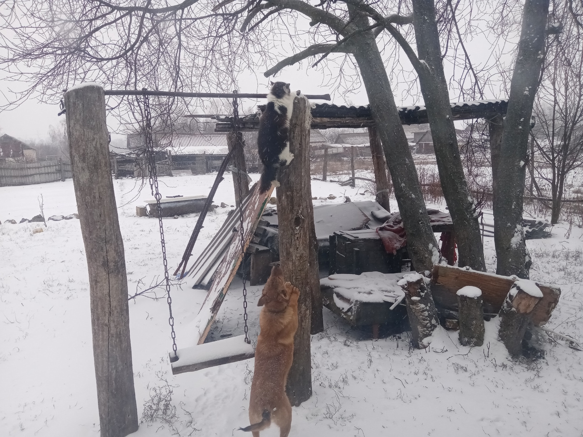 всех достал; ну, по карйней мере пытается))