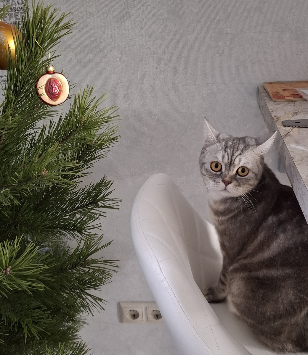 Сейчас мы с Мусечкой будем рассказывать!