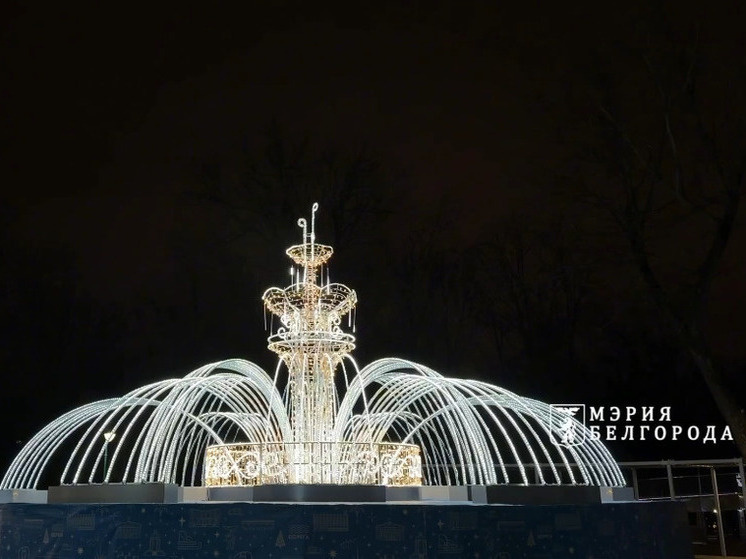     В парке Ленина Белгорода фонтан «Кувшинка» превратили в новогодний арт-объект, фото: скриншот видео со страницы t.me/beladm31