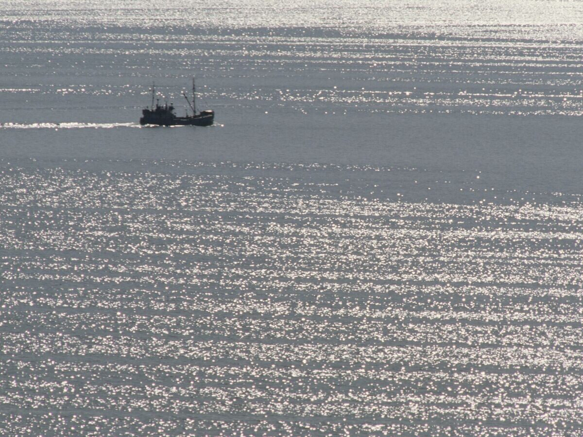    Вид на Балтийское море© РИА Новости . Всеволод Тарасевич