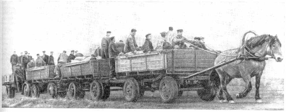 Фото отсюда - vestinn.ru