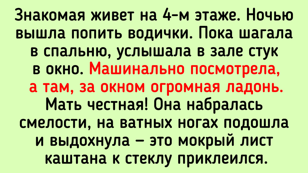 © Светлана С. / Dzen