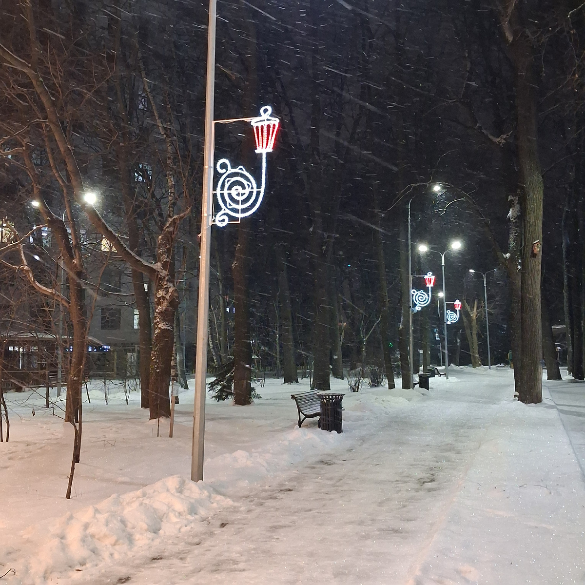 В парке. Фото автора. 