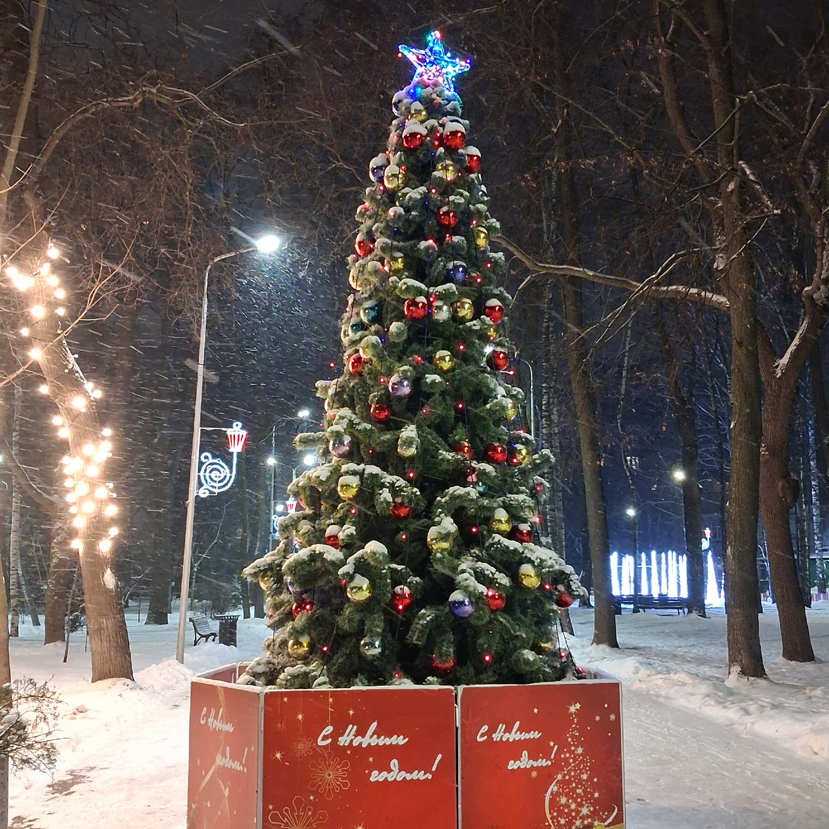 В детском парке имени Я. М. Свердлова. Фото автора. 