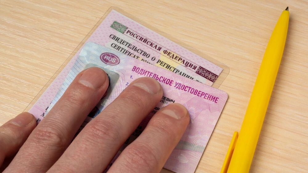    Фото: Sergei Gorin/Shutterstock/Fotodom