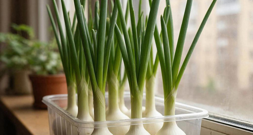    Сгенерировано в нейросети