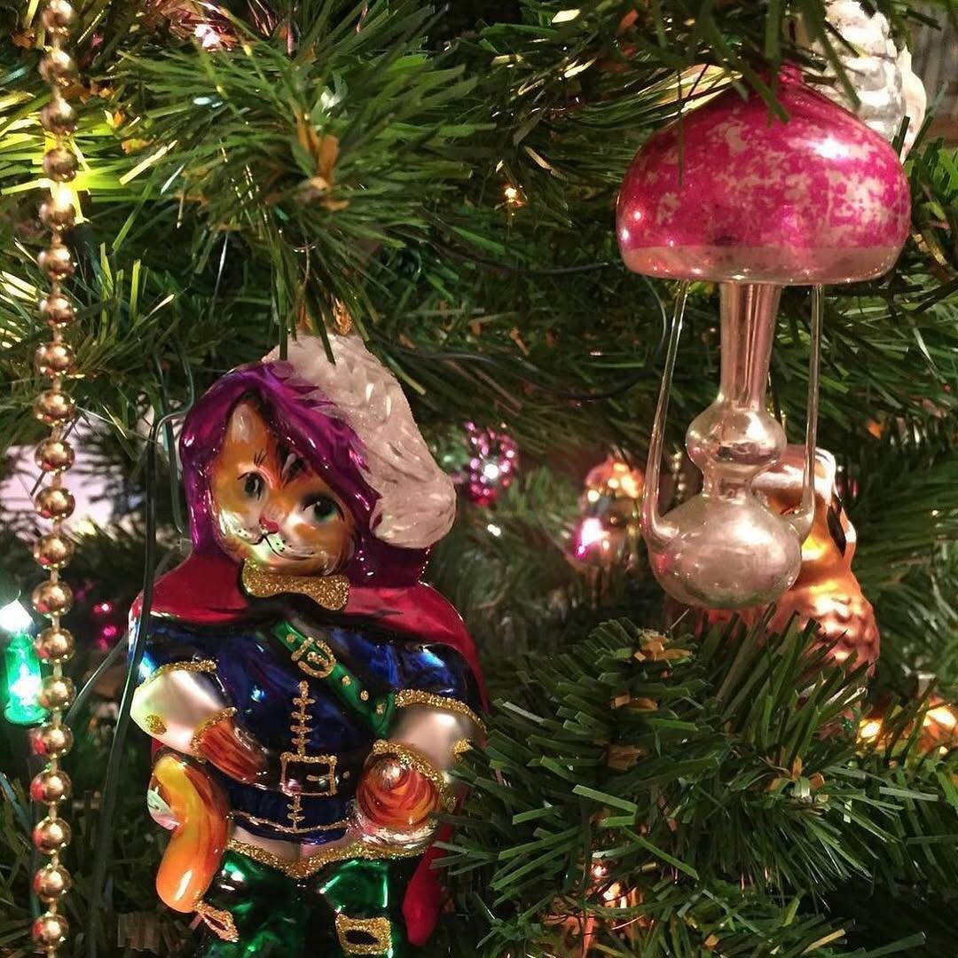 Фото автора.