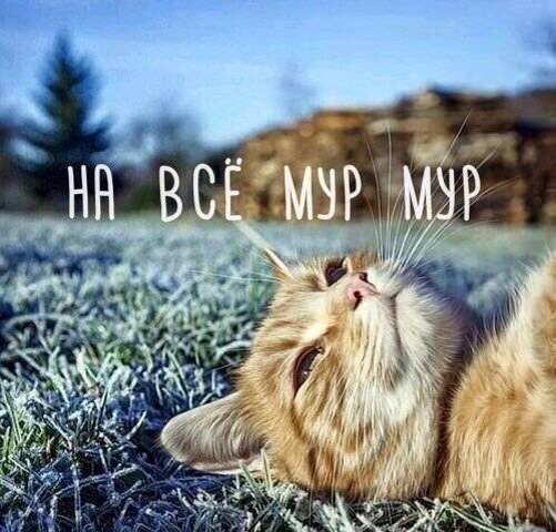 фото с просторов Интернета