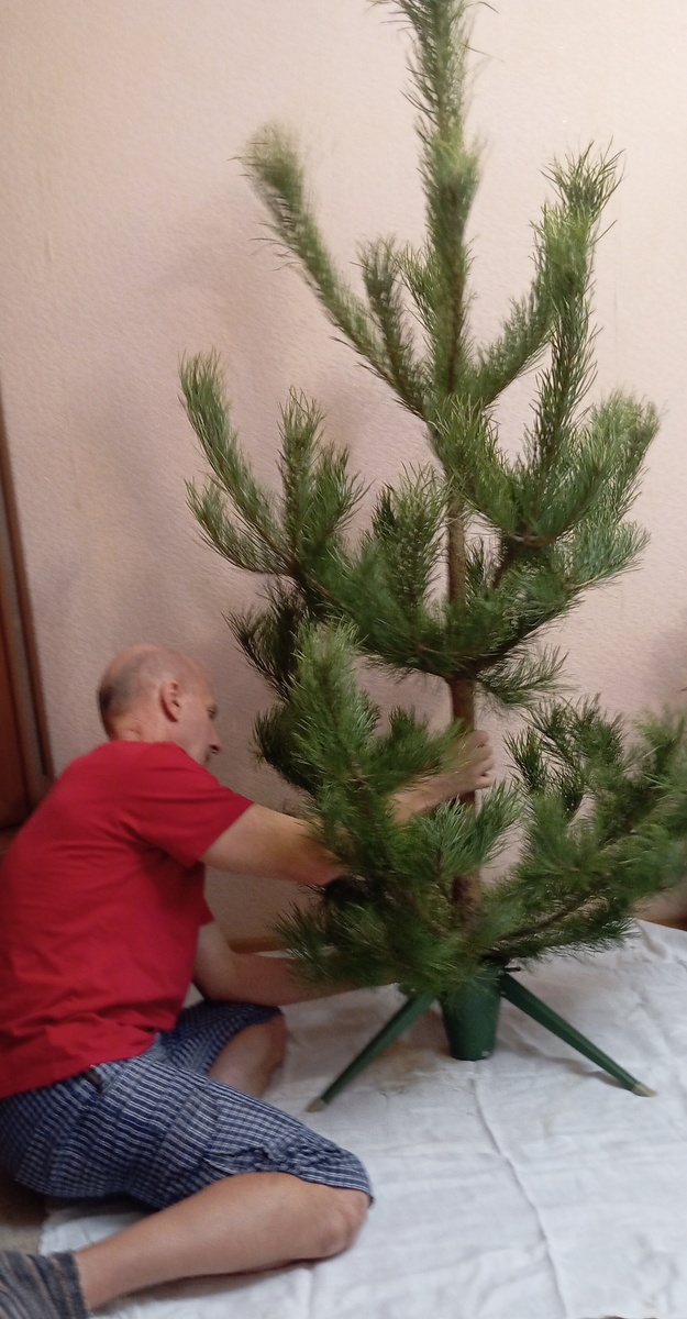 Установить нужно ровно, надёжно.