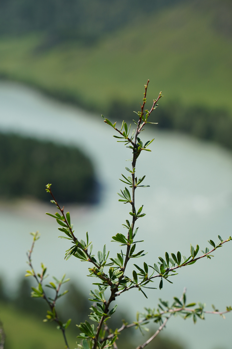 Фото из архива Алексея 