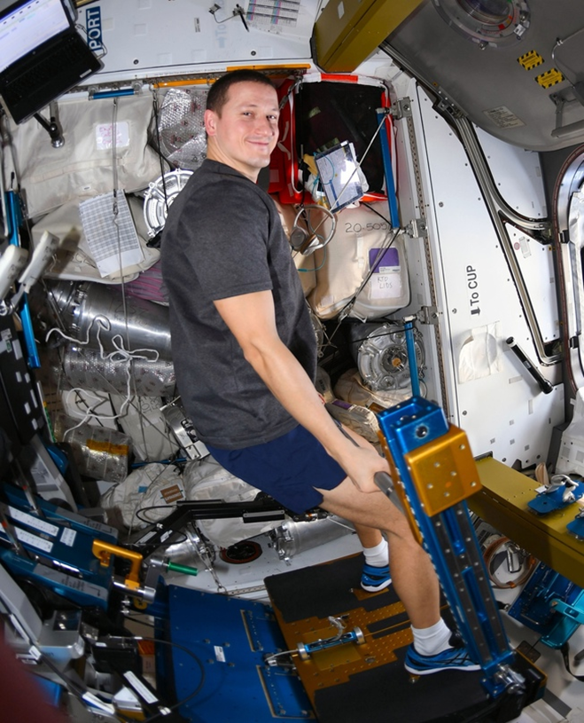 Сергей Кудь-Сверчков занимается на силовом нагружателе ARED. Фото: Роскосмос