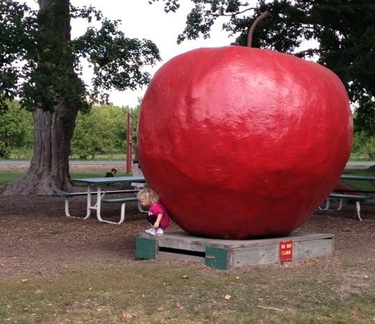 На меня навалились знания )) 