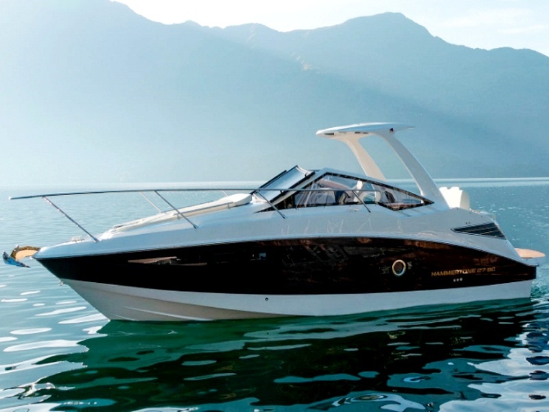 Приз чемпиону-браконьеру