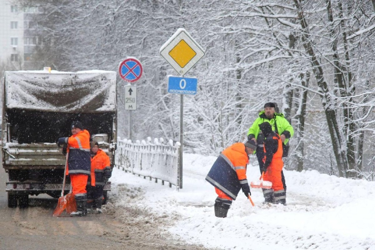    Фото: пресс-служба администрации Сергиево-Посадского г. о.