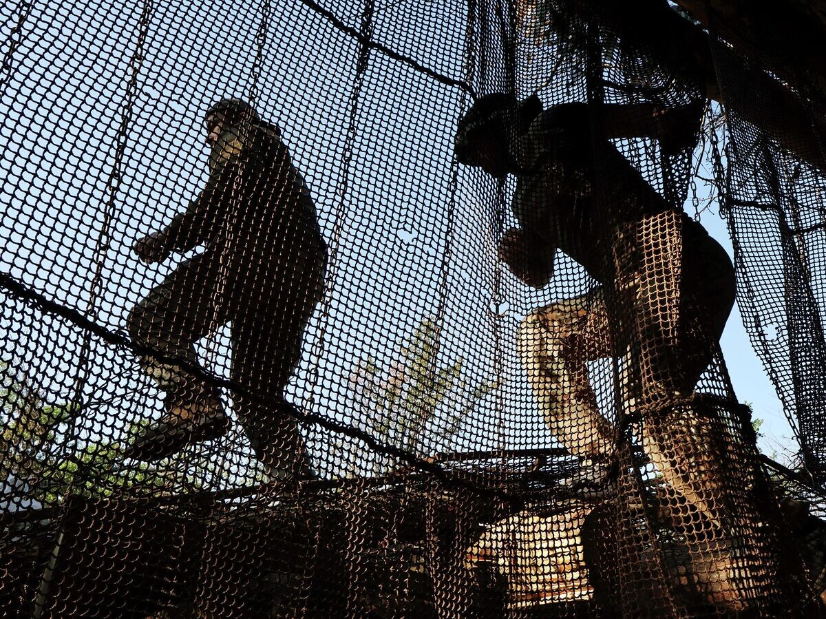    Украинские военные | © AP Photo / Andriy Andriyenko