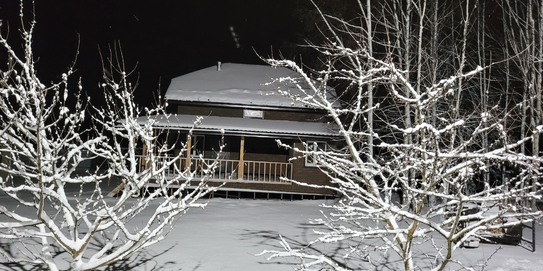 Как меня встретила дача после 3-х недель отсутствия