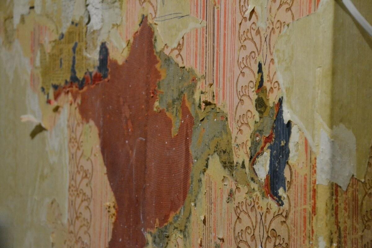 Фото из открытого доступа