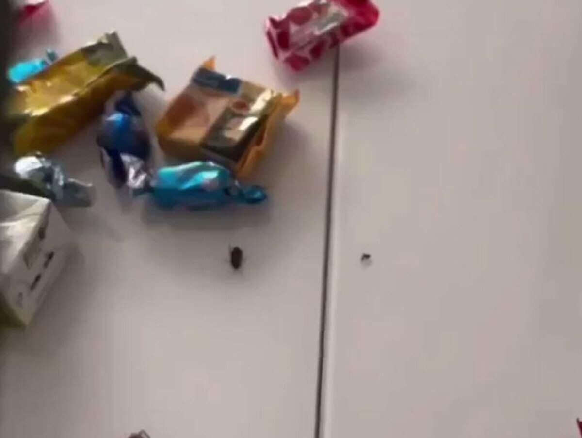    Кадр видео с детским подарком в Анапе | © Фото : , соцсети