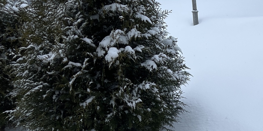 Последняя пятница этого года…