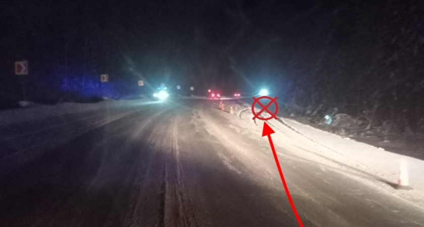    Фото Госавтоинспекции Коми