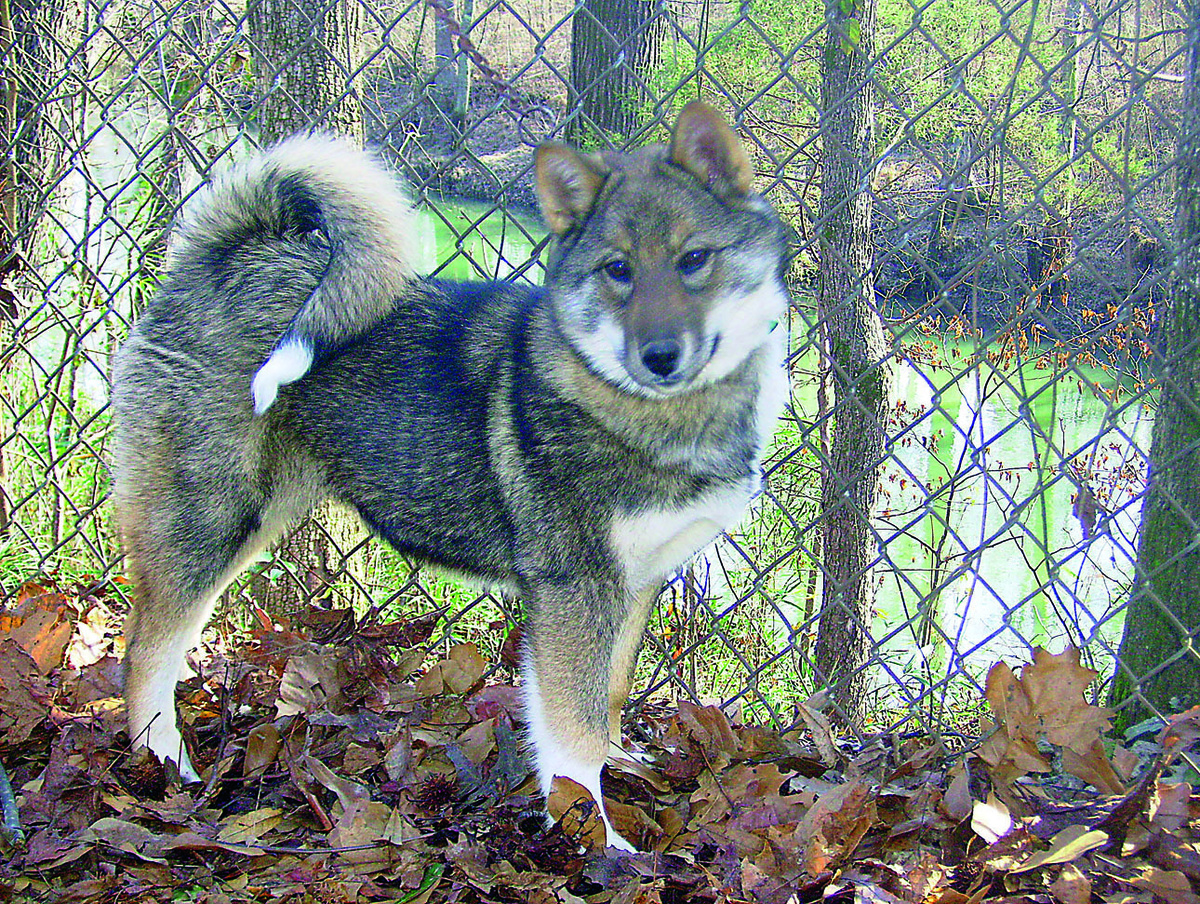     Фото: Антон Журавков