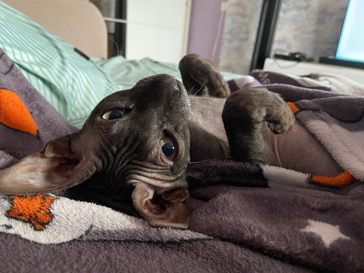    Фото редакции