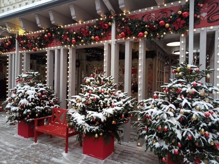     Источник: Анастасия Лесная