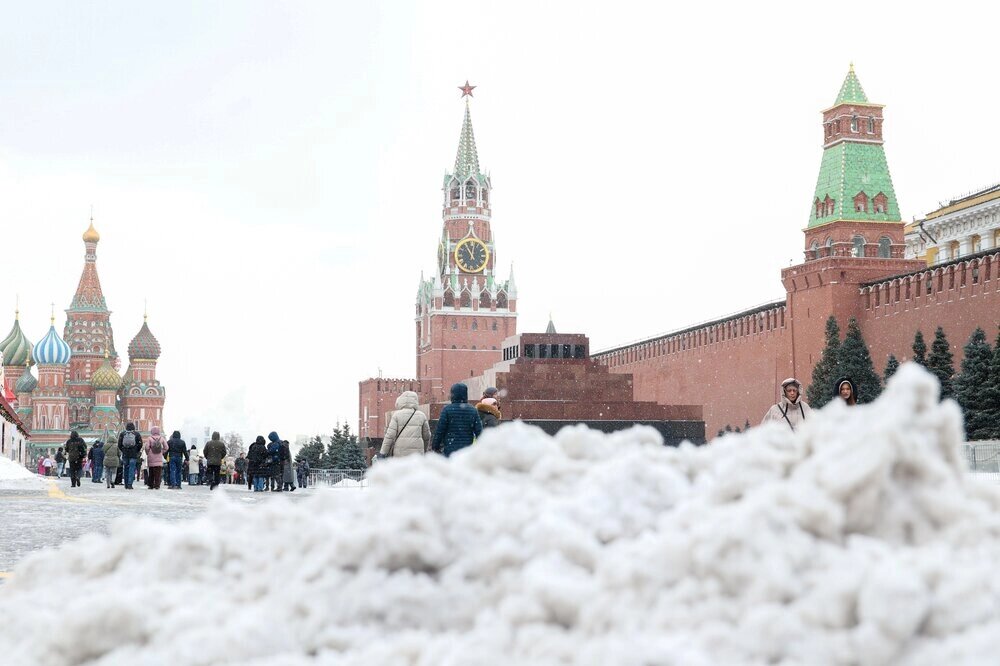    Фото: АГН Москва/ Ярослав Чингаев