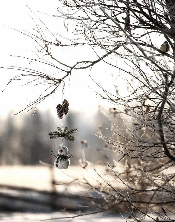 2. И синичка.