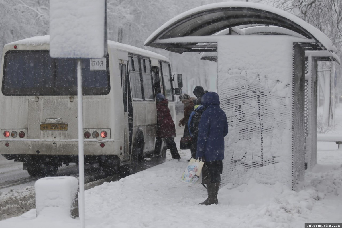 Фото: Андрей Степанов