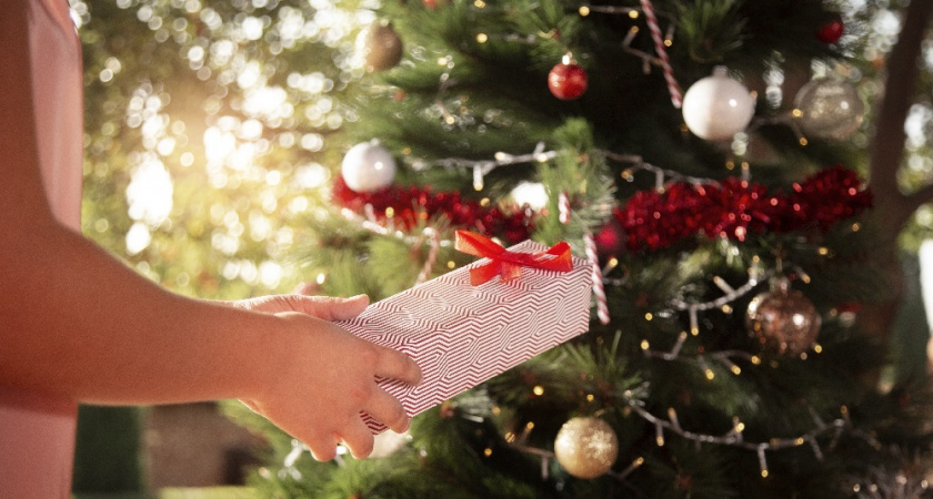    Фото: Сайт freepic.com