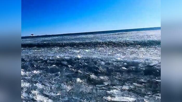 Обложка © X / zhao_dashuai