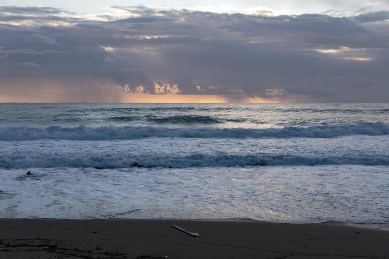    Фото: wiki commons/Manfred Werner (Tsui)/CC BY-SA 4.0 Алина Колупаева