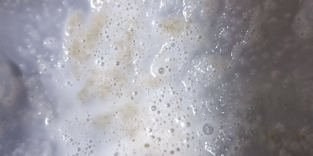 Коровий отпуск: когда пора и как это влияет на молоко