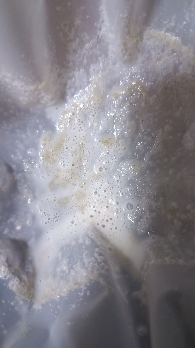 (в молоке соматические клетки)