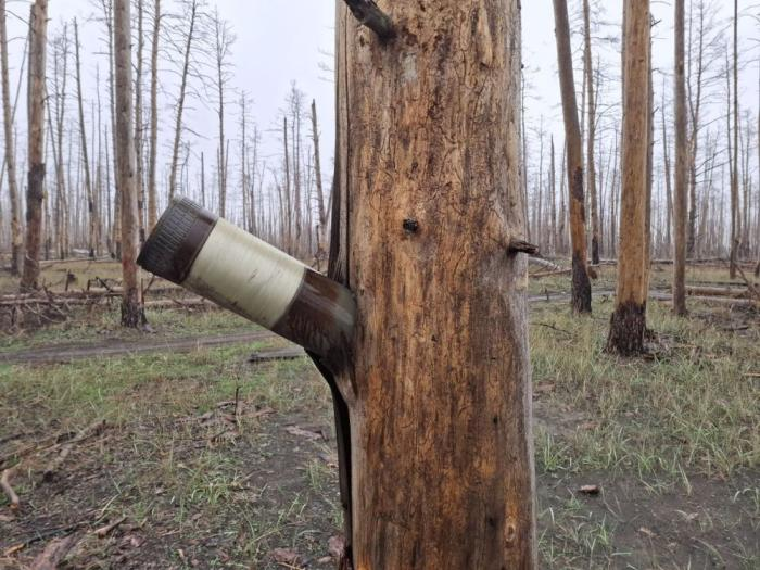 В зоне проведения СВО, источник Телеграм-канал Тристатридцатьтри