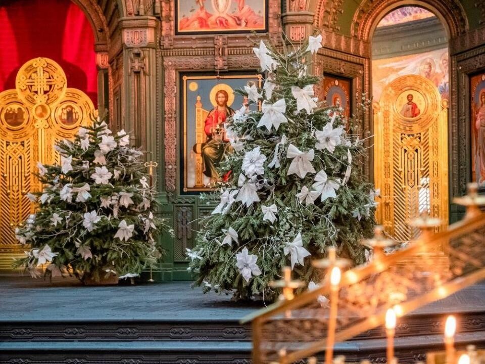 Яндекс Картинки