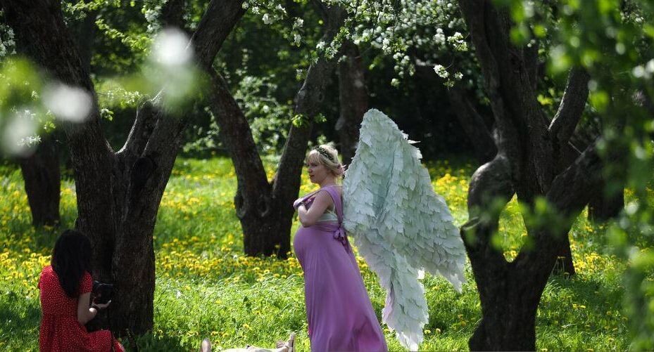    РИА «Новости»