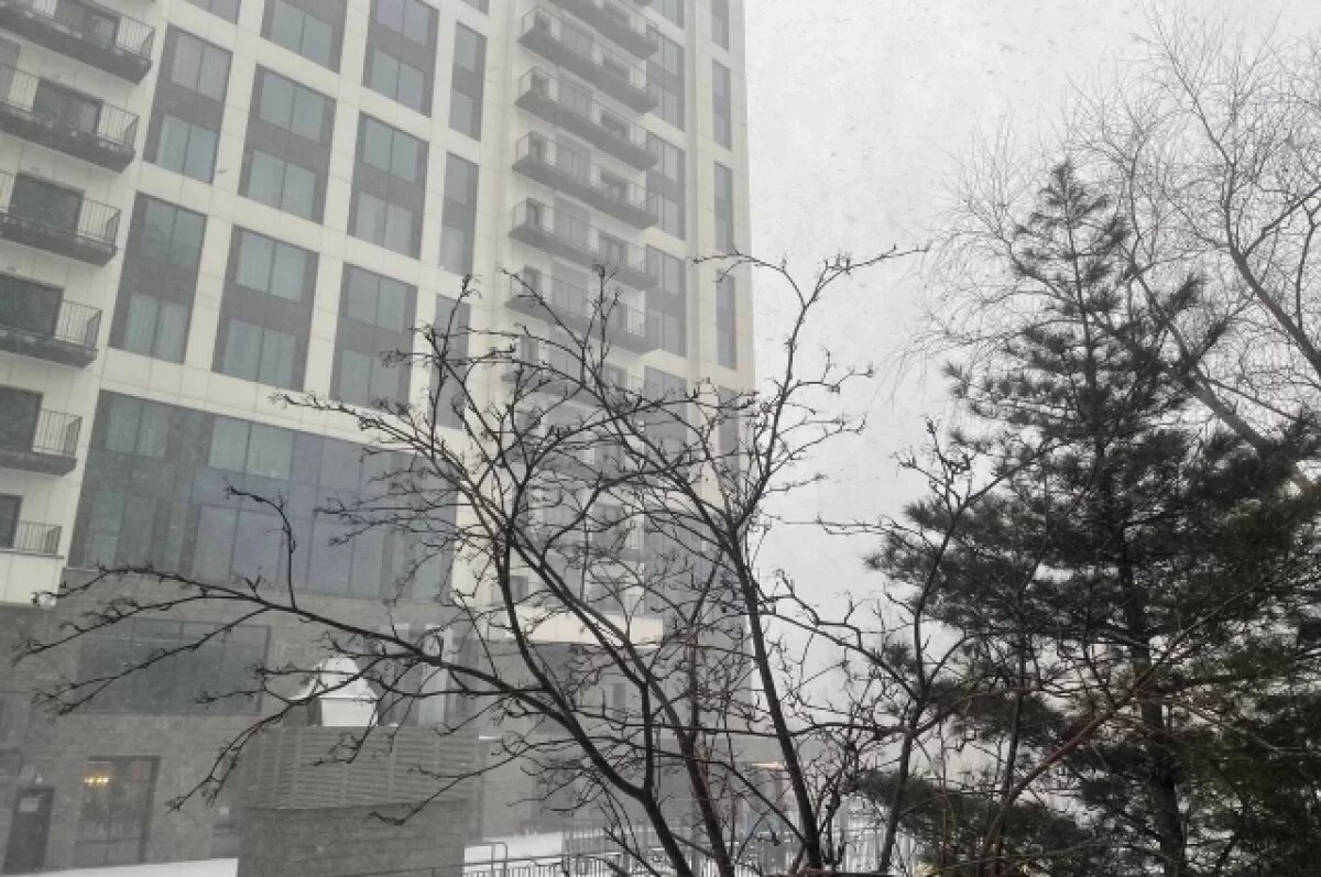    Новосибирск готовится к снежной погоде и сильному ветру 27 декабря