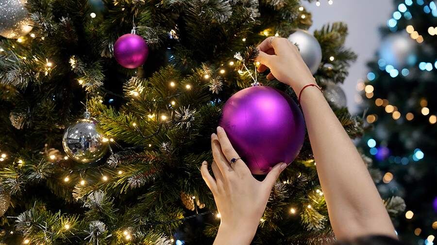    Фото: ИЗВЕСТИЯ/Дмитрий Коротаев