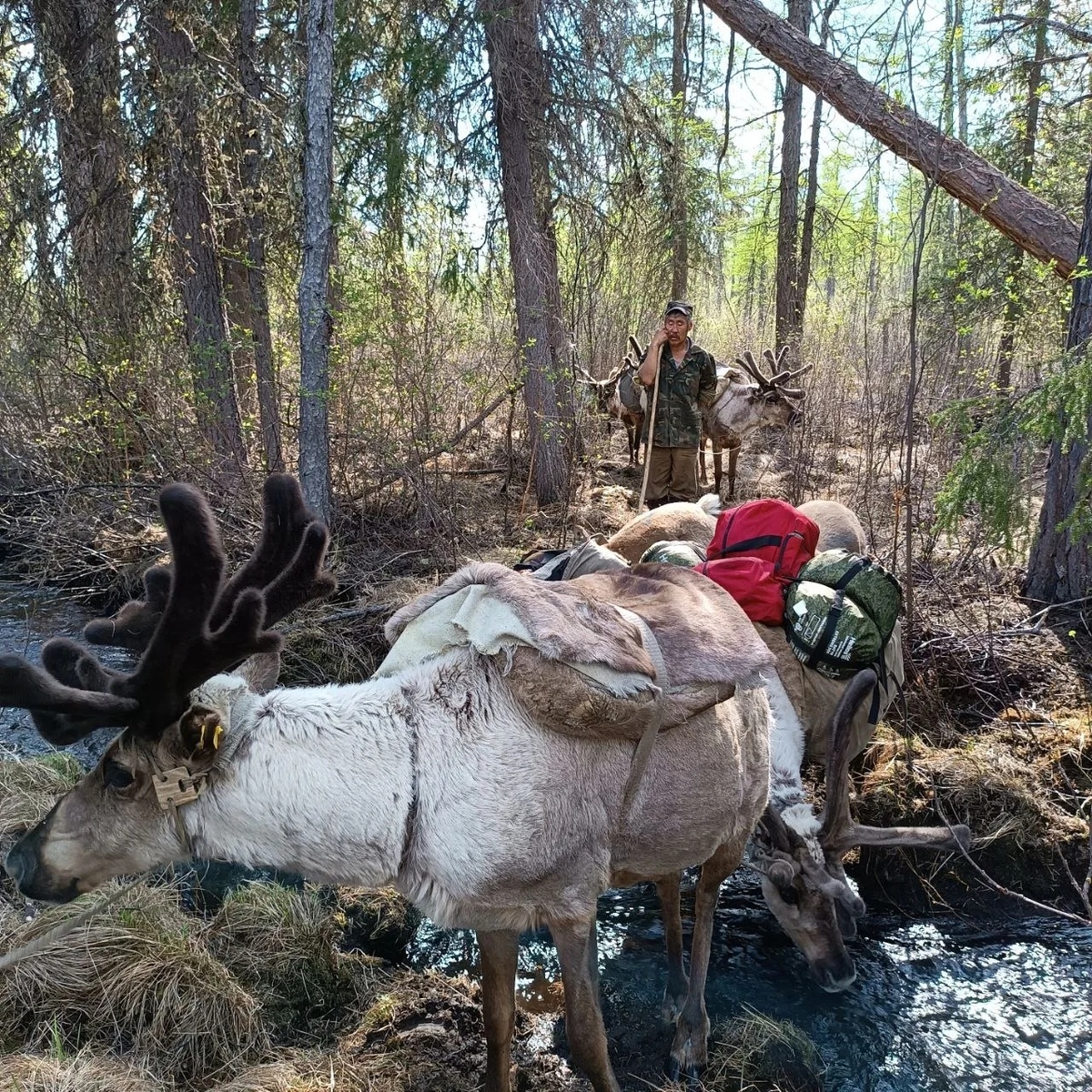Победитель фотоконкурса «Природа и люди севера Красноярского края». Эвенкийская тундра рядом с поселком Суринда. Автор фото: Кирилл Галкин, Эвенкия