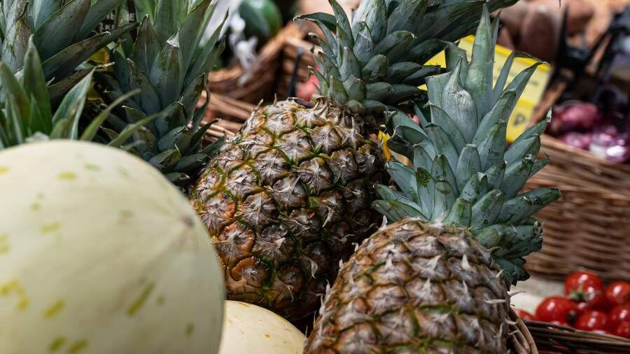    Фото: Global Look Press/Ruslan Yarocky