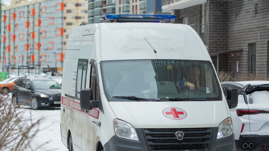    Фото: ИЗВЕСТИЯ/Телеканал «78»