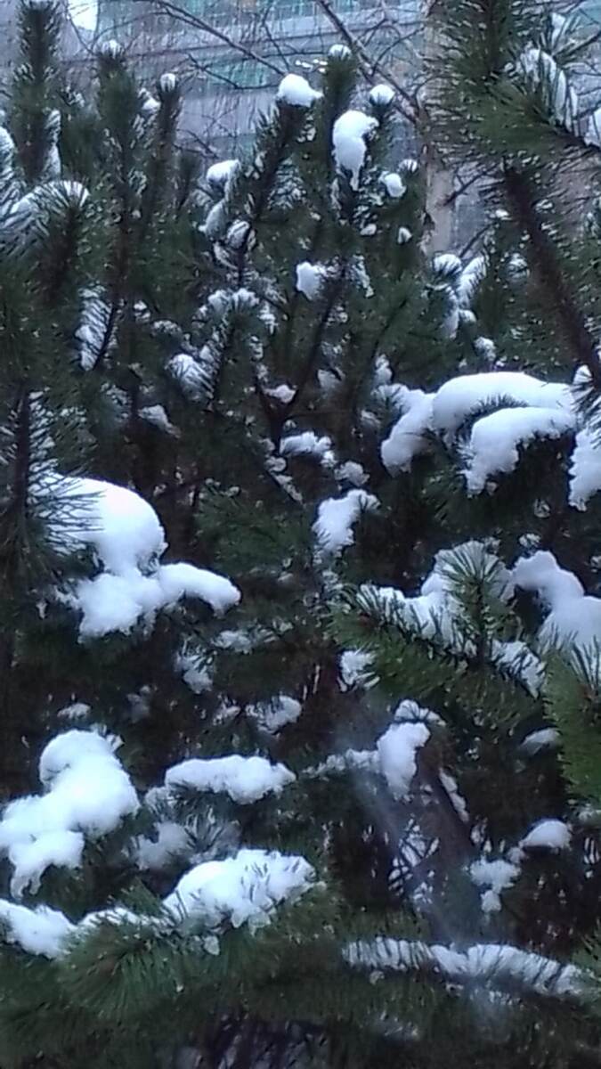 Фото взято из личной переписки.