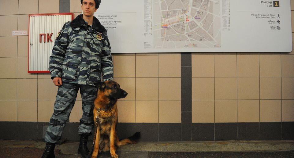    Досмотровые зоны Московского метрополитена / Медиасток.рф