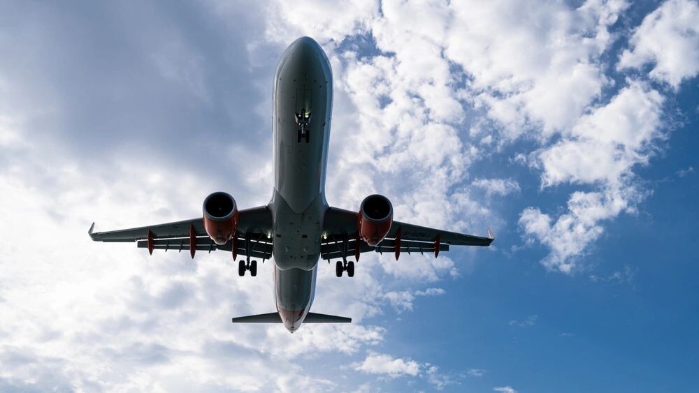    Фото: Wild_Seager/Shutterstock/Fotodom