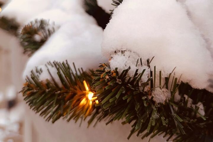    Фото:Виктория Андреева