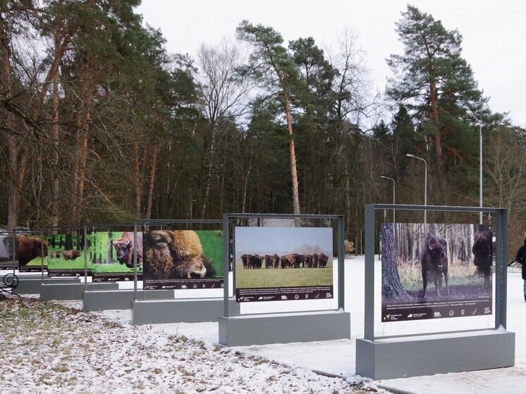     Фото: https://t.me/ptzapovednik