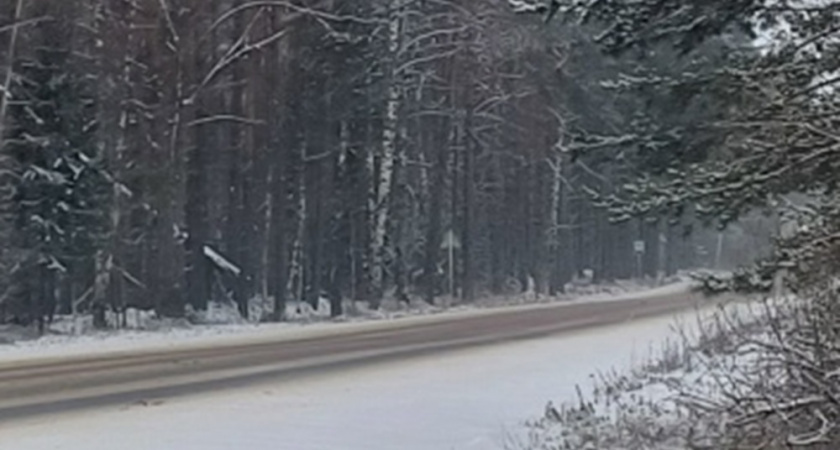    Фото: Пресс-служба министерства транспорта и дорожного хозяйства Владимирской области